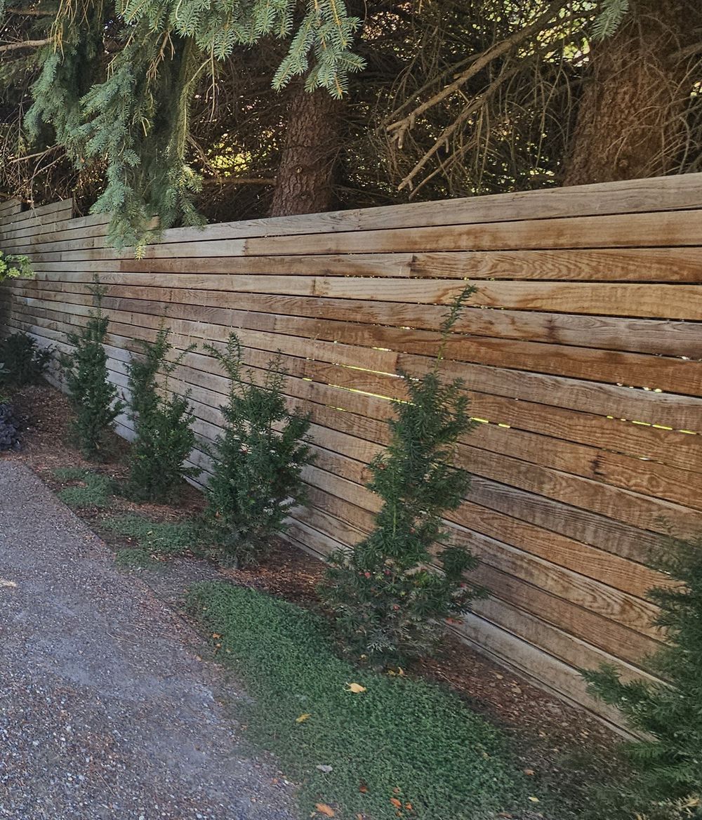 Cedar fence with arborvitae, Millcreek