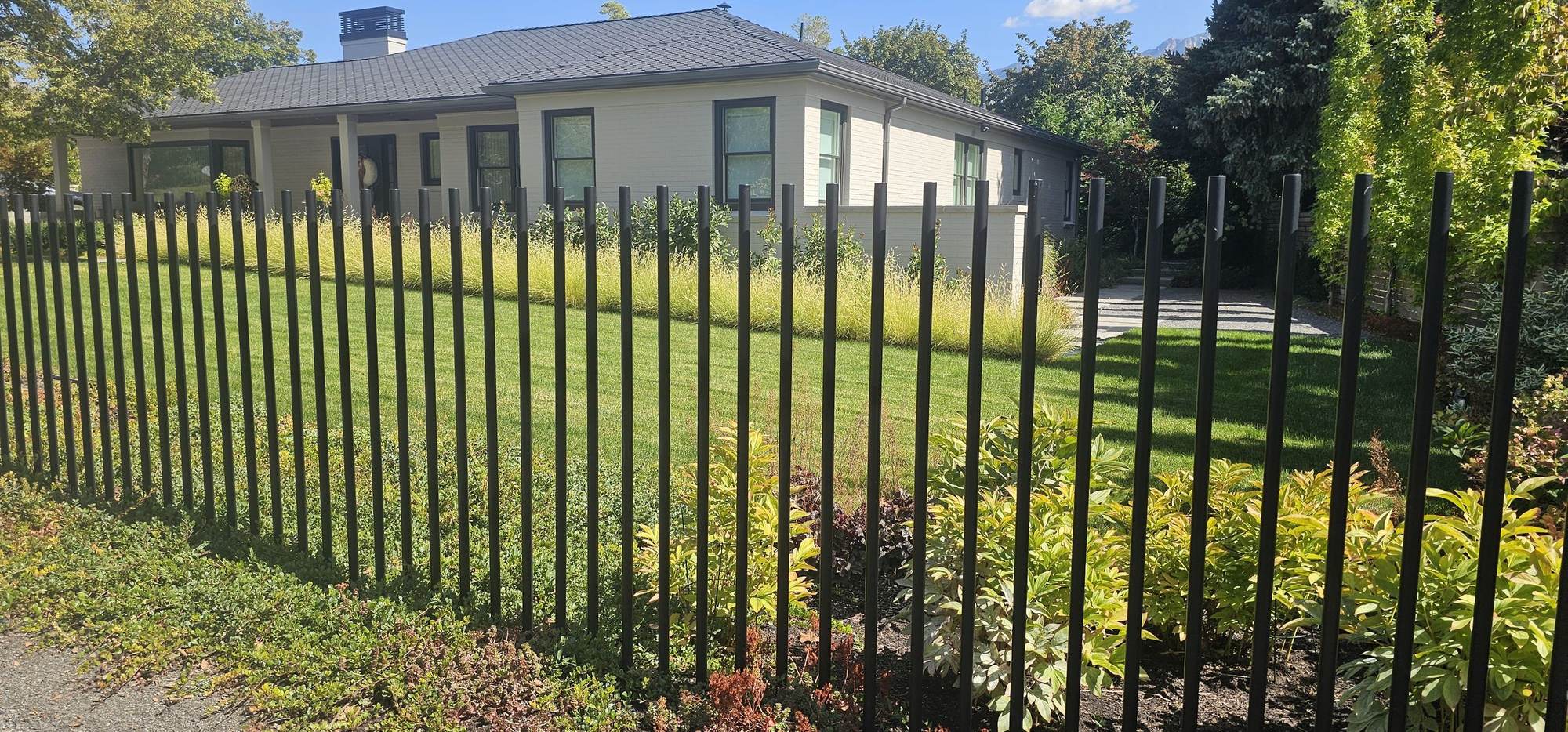 Lawn, grasses & fence line, Millcreek