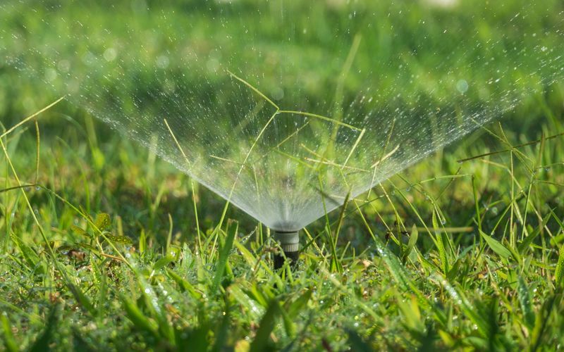 Close-up of a pop-up sprinkler head spraying a green lawn (stock photo)