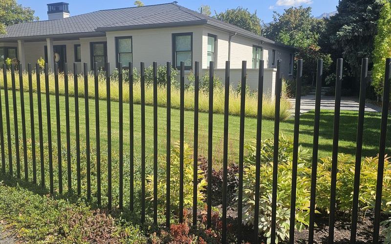 Front lawn & ornamental grasses, Millcreek